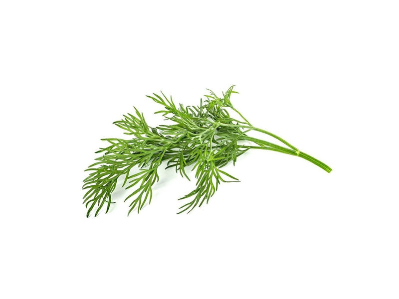 Click & Grow Click and Grow Smart Garden Refill 3-pack - Dill