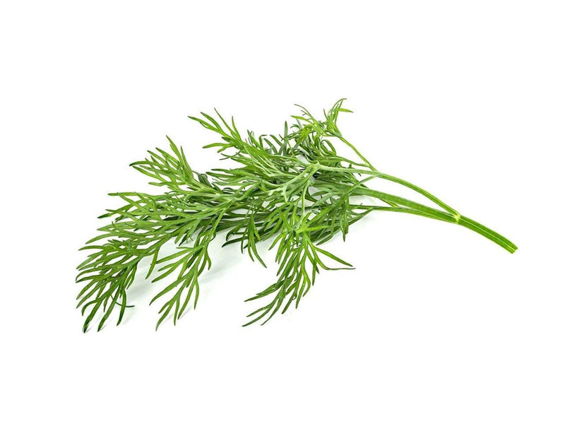 Click & Grow Click and Grow Smart Garden Refill 3-pack - Dill