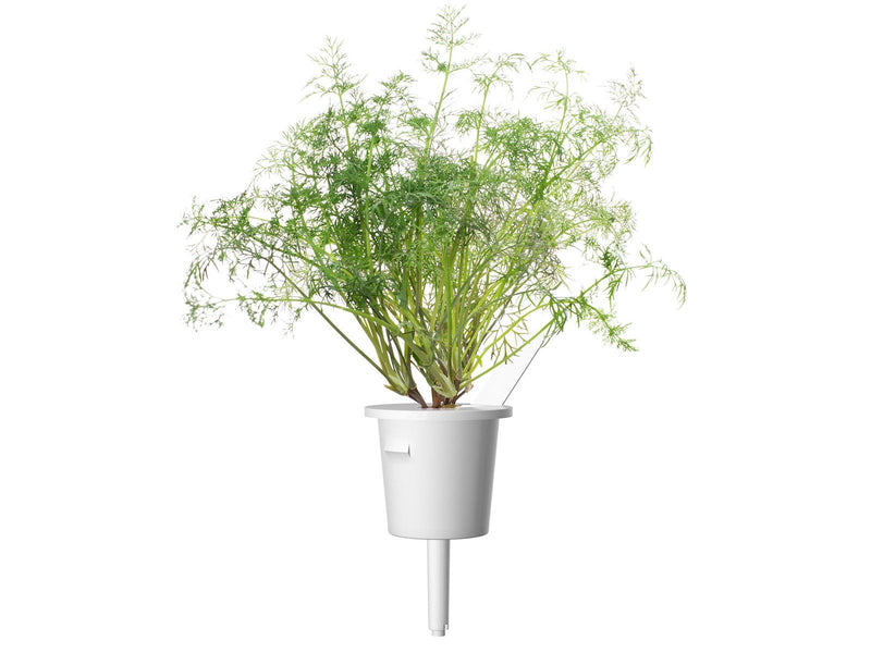 Click & Grow Click and Grow Smart Garden Refill 3-pack - Dill