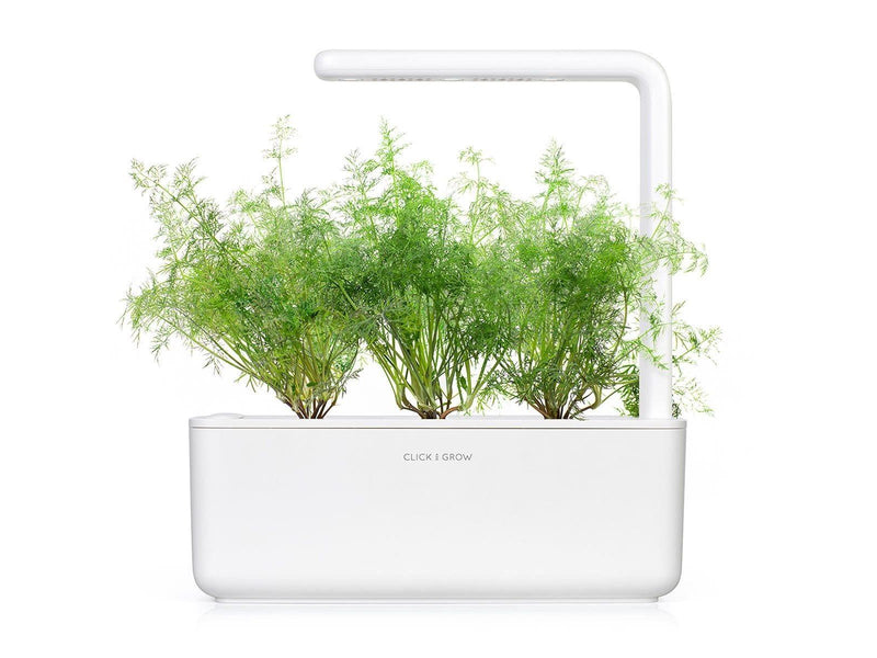 Click & Grow Click and Grow Smart Garden Refill 3-pack - Dill