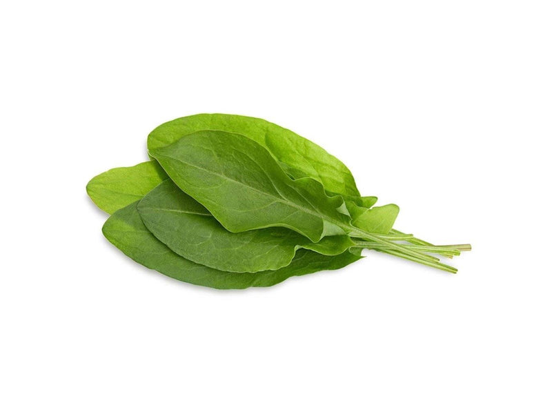 Click & Grow Click and Grow Smart Garden Refill 3-pack - Green Sorrel