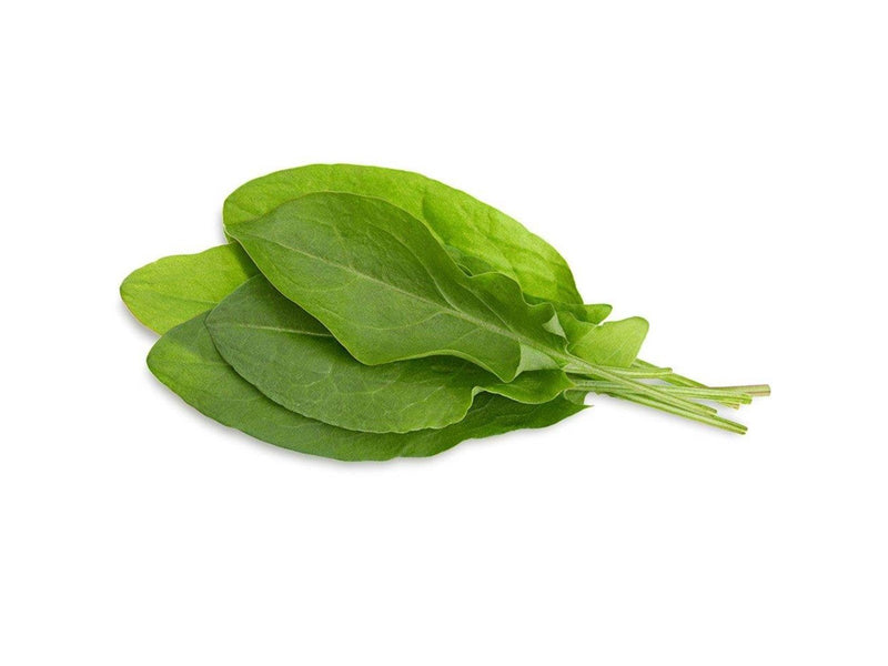 Click & Grow Click and Grow Smart Garden Refill 3-pack - Green Sorrel