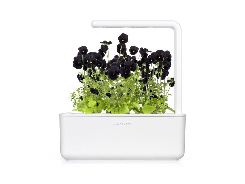 Click & Grow Click and Grow Smart Garden Refill 3-pack - Black Pansy