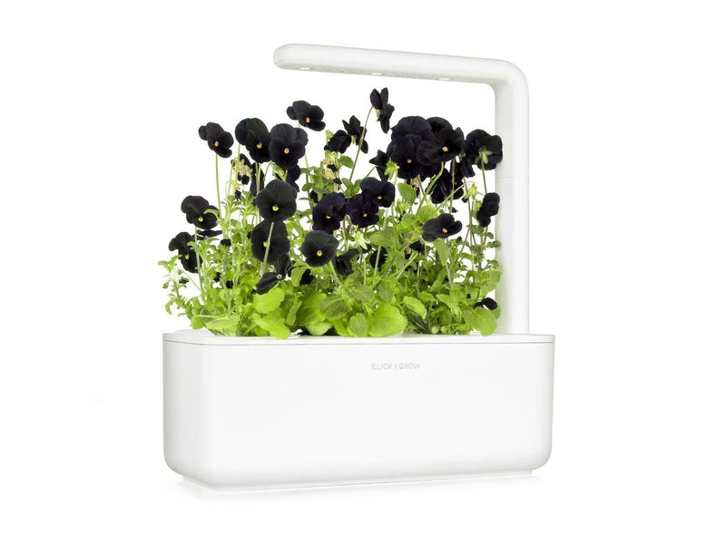 Click & Grow Click and Grow Smart Garden Refill 3-pack - Black Pansy
