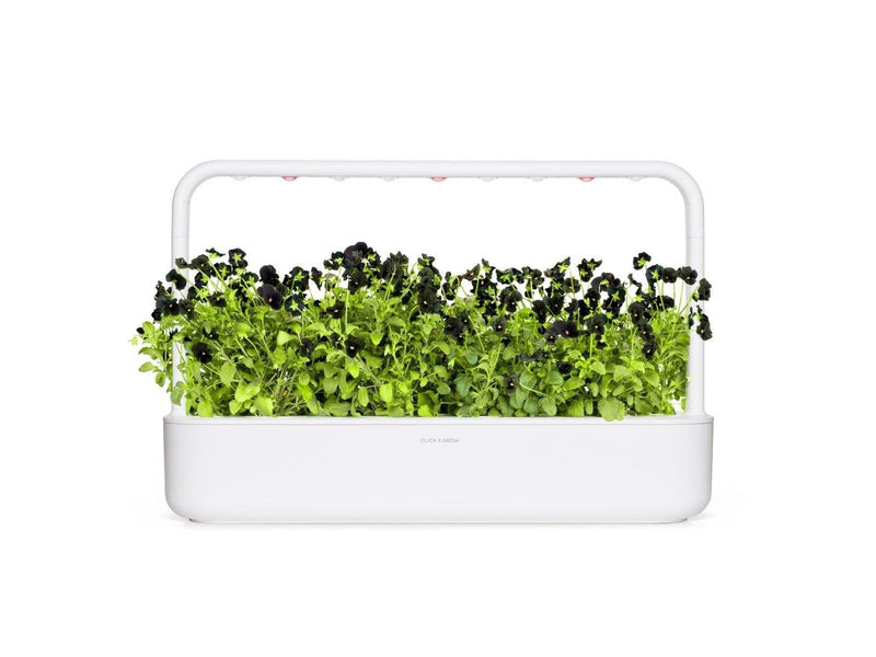 Click & Grow Click and Grow Smart Garden Refill 3-pack - Black Pansy