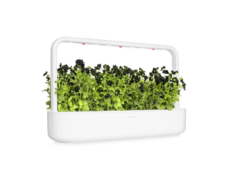 Click & Grow Click and Grow Smart Garden Refill 3-pack - Black Pansy