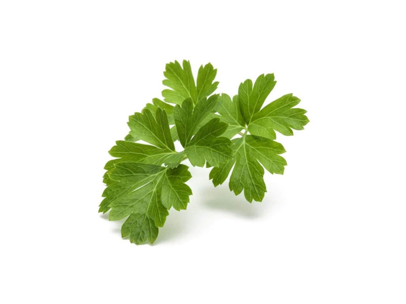 Click & Grow Click and Grow Smart Garden Refill 3-pack - Plain Parsley