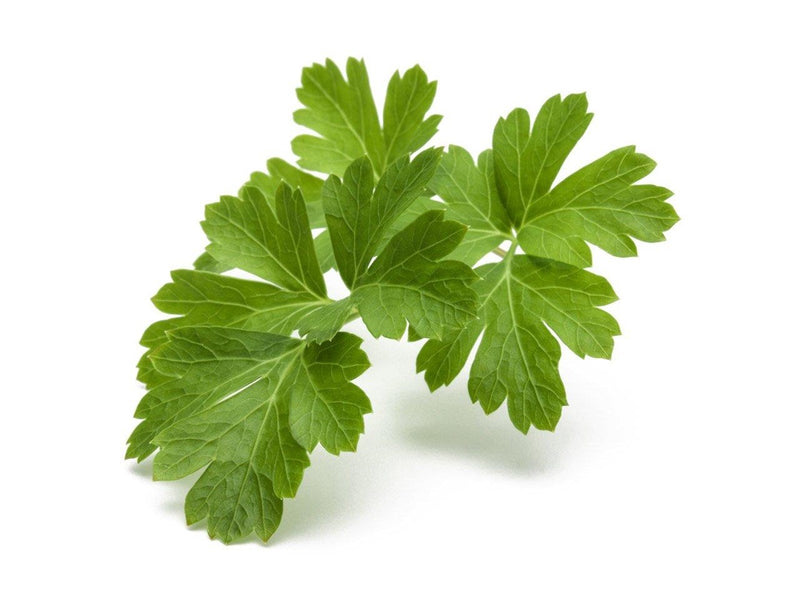Click & Grow Click and Grow Smart Garden Refill 3-pack - Plain Parsley