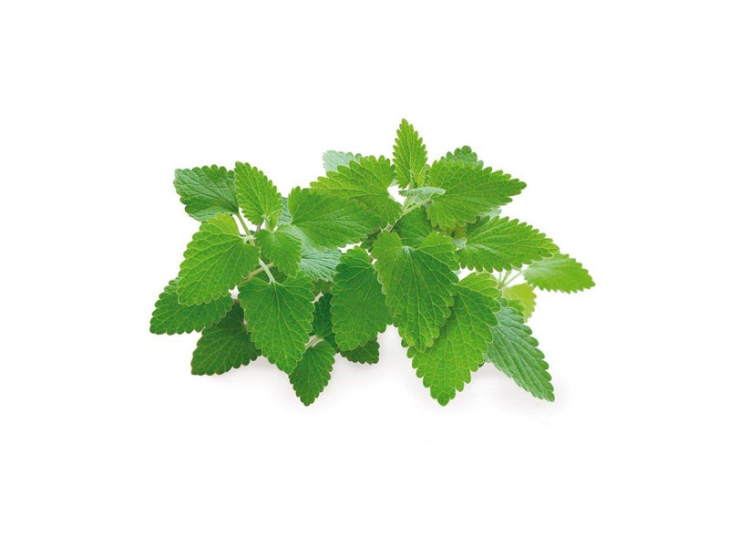 Click & Grow Click and Grow Smart Garden Refill 3-pack - Catnip