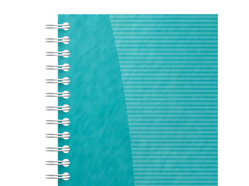 Oxford Office Essentials Task Manager, 14,1x24,6cm, Softcover, Doppelspiralbindung, 115 Blatt, Sonderlineatur, scribzee kompatib