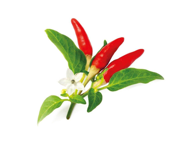 Click & Grow Click and Grow Smart Garden Refill 3-pack - Red Hot Chili Pepper