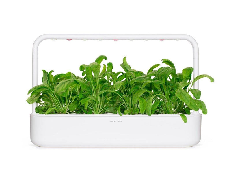 Click & Grow Click and Grow Smart Garden Refill 3-pack - Mibuna