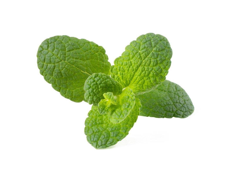Click & Grow Click and Grow Smart Garden Refill 3-pack - Apple Mint