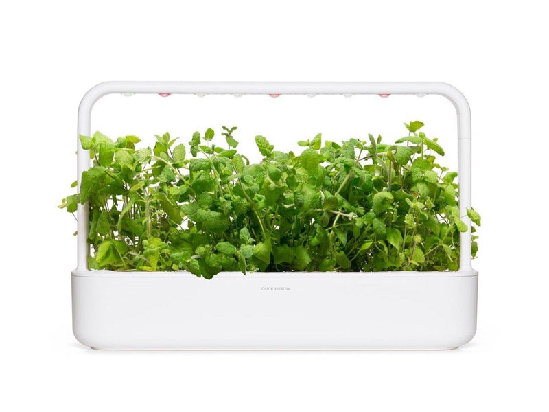 Click & Grow Click and Grow Smart Garden Refill 3-pack - Apple Mint