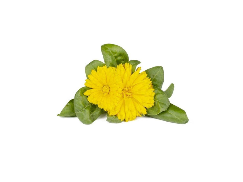 Click & Grow Click and Grow Smart Garden Refill 3-pack - Calendula