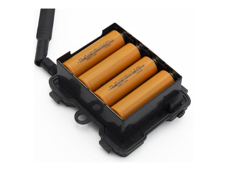 TECHNAXX TX-189 - camera trap
