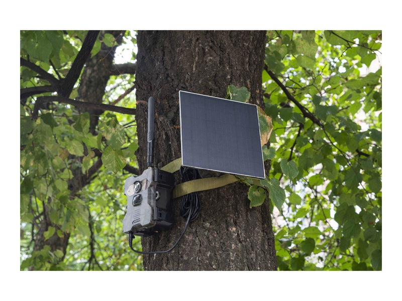 TECHNAXX TX-189 - camera trap