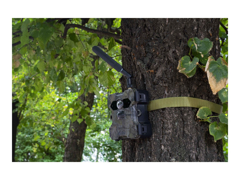 TECHNAXX TX-189 - camera trap