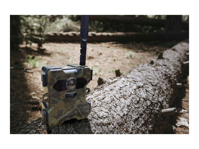 TECHNAXX TX-189 - camera trap
