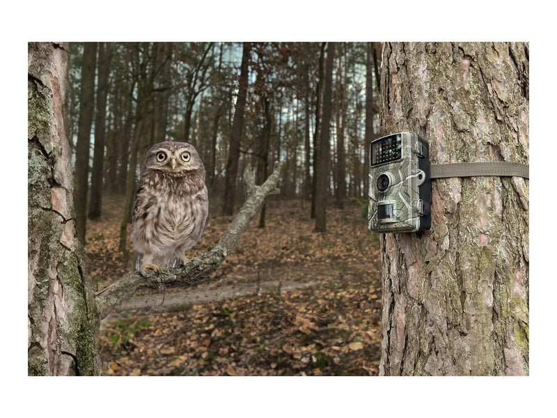 TECHNAXX TX-256 - camera trap