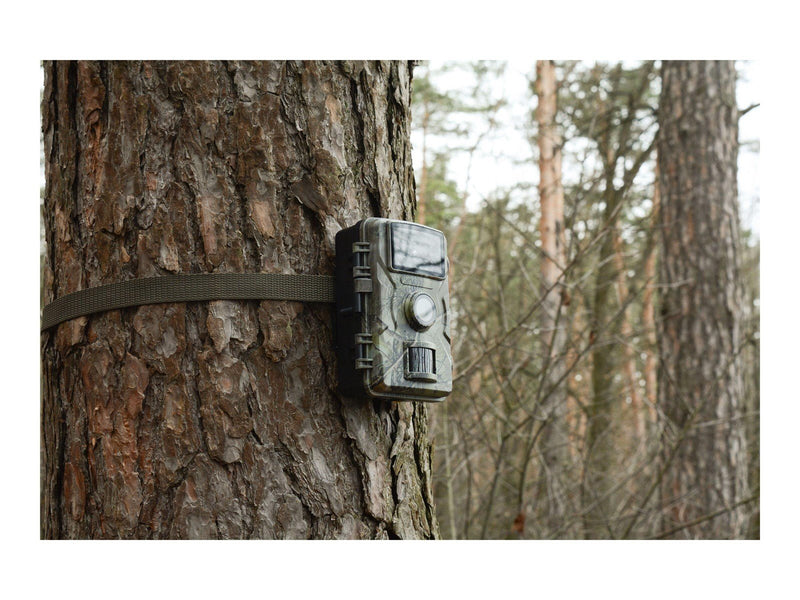 TECHNAXX TX-256 - camera trap
