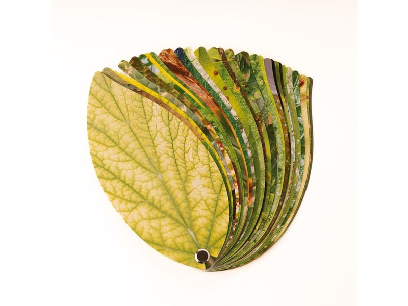 Healthy Plant Book