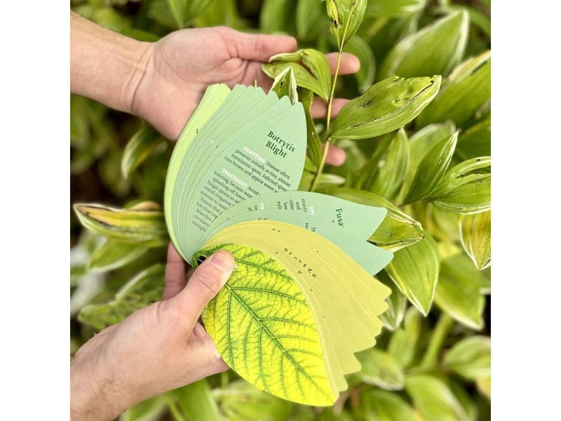 Healthy Plant Book