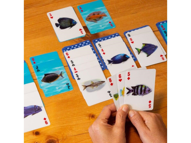 Kikkerland - Fish 3D Cards