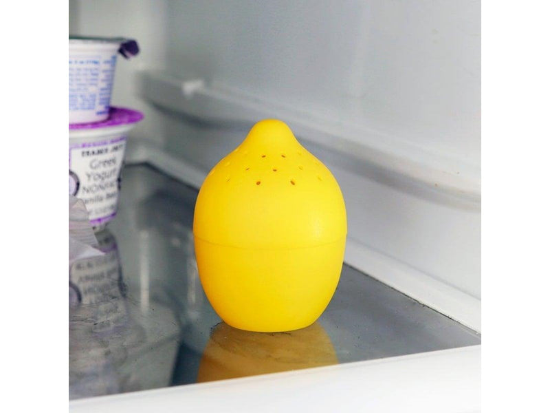 Kikkerland - Lemon And Lime Fridge Freshener