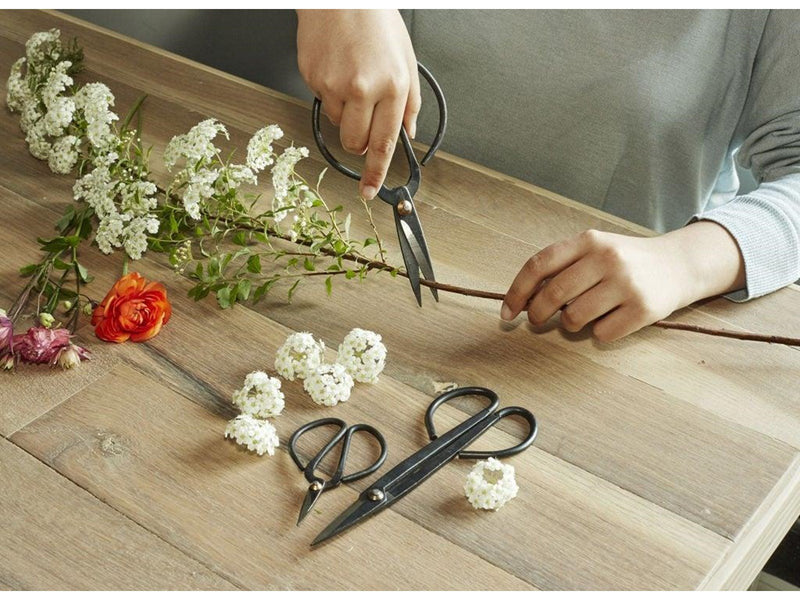 Kikkerland Scissor Set For Garden (SC37)