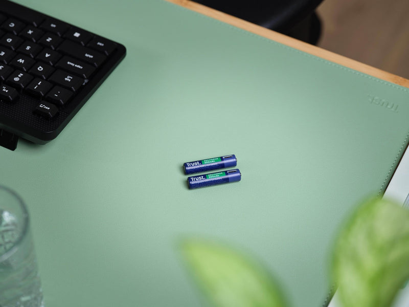 Trust 2 x AAA USB-C Rechargeable