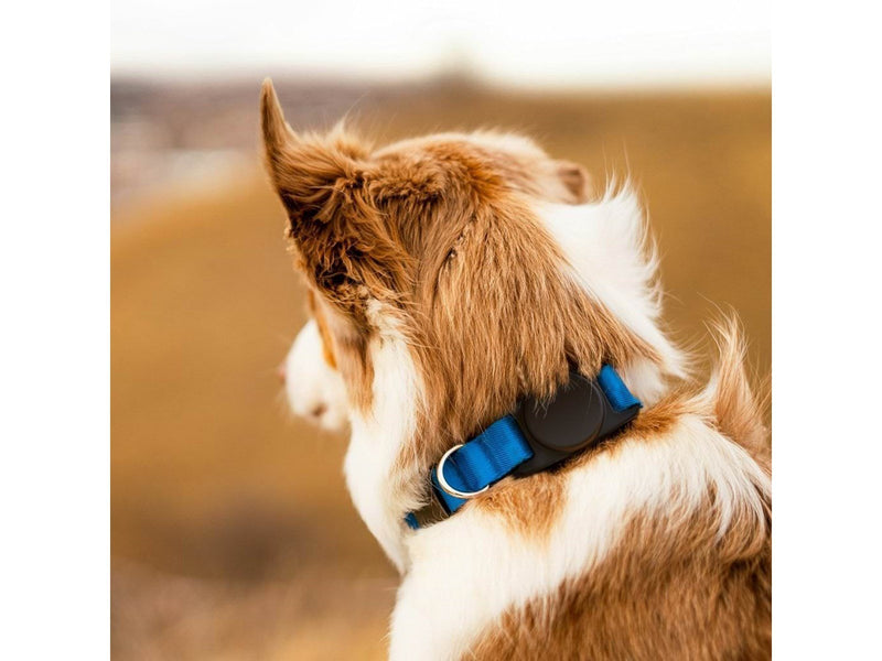 KeyBudz PawTag Pet Collar Mount for Airtag