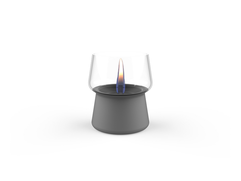 Tenderflame Amaryllis 10 Dark Grey