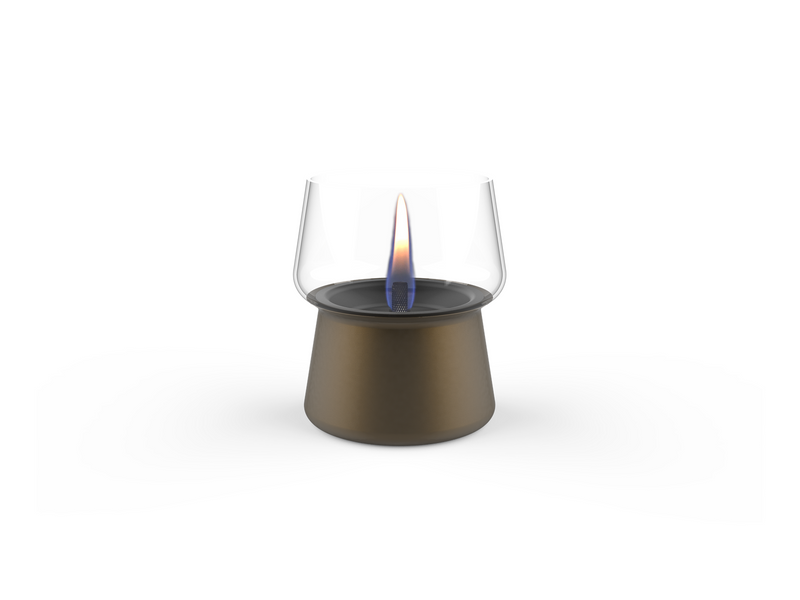 Tenderflame Amaryllis 10 Brown