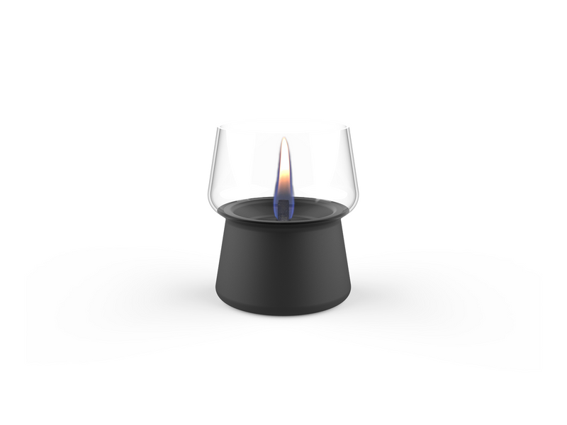 Tenderflame Amaryllis 10 Black