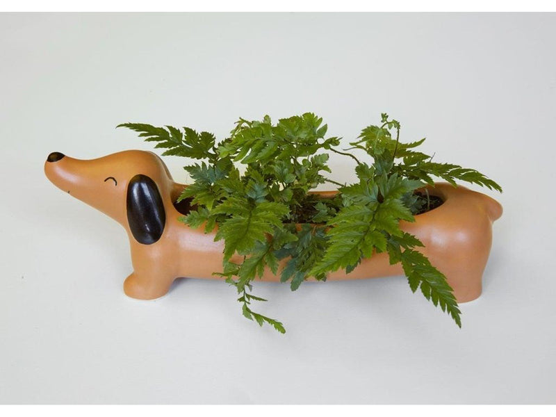Kikkerland - Daisy The Dachshund Planter (PL17)