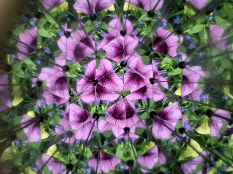 Kikkerland - Huckleberry Kaleidoscope (HB15)