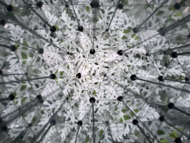Kikkerland - Huckleberry Kaleidoscope (HB15)