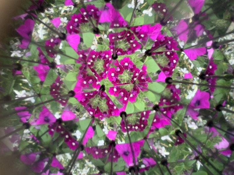 Kikkerland - Huckleberry Kaleidoscope (HB15)