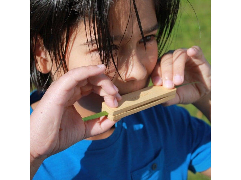 Kikkerland - HUCKLEBERRY GRASS WHISTLE (HB18-F)