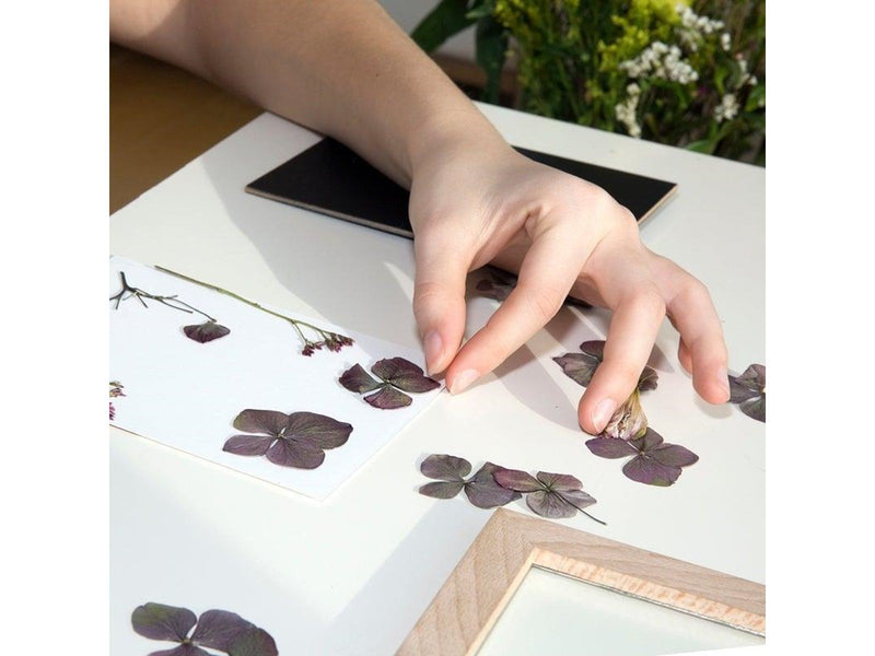 Kikkerland - HUCKLEBERRY PRESSED FLOWER FRAME (HB02-F)