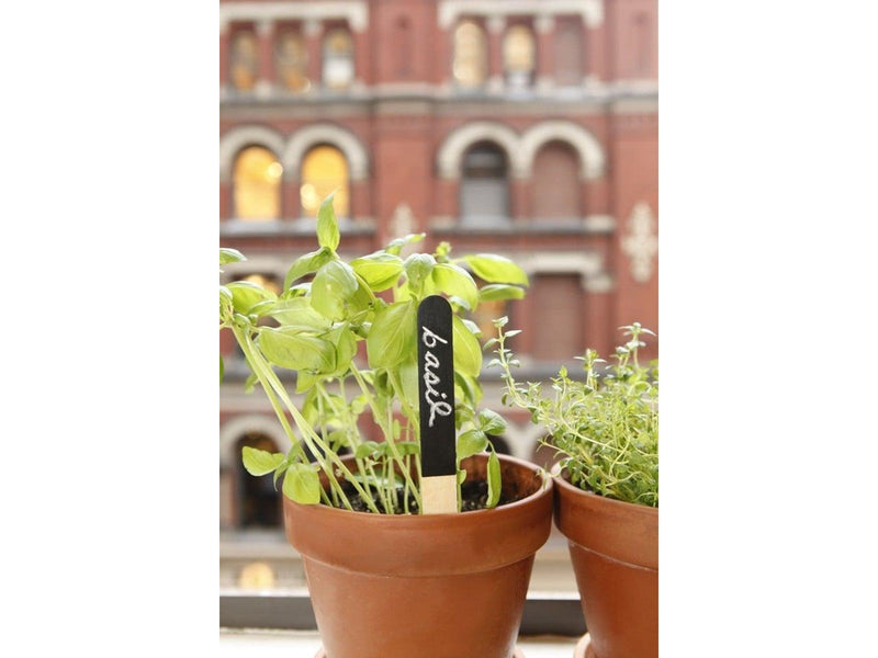 Kikkerland - Reusable Garden Markers (GA06)