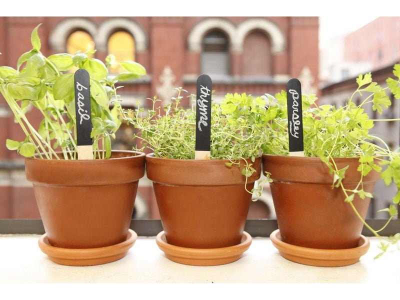 Kikkerland - Reusable Garden Markers (GA06)
