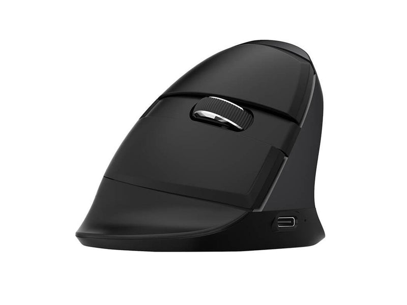 DeLUX M618Mini Black - Ergonomische Maus (Schwarz)