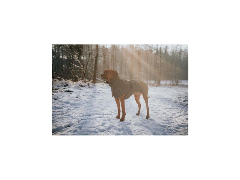 Hunter - Dogcoat Nordby 35 olive - (203435)