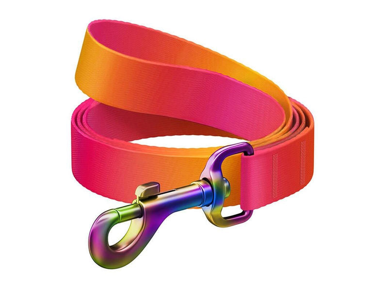 Waudog gradient nylon dog leash 122 cm long orange