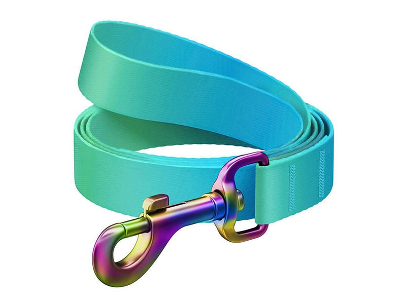 Waudog gradient nylon dog leash 20 mm wide 122 cm long blue