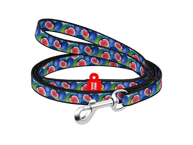 Waudog nylon dog leash 20 mm wide 122 cm long "fig"