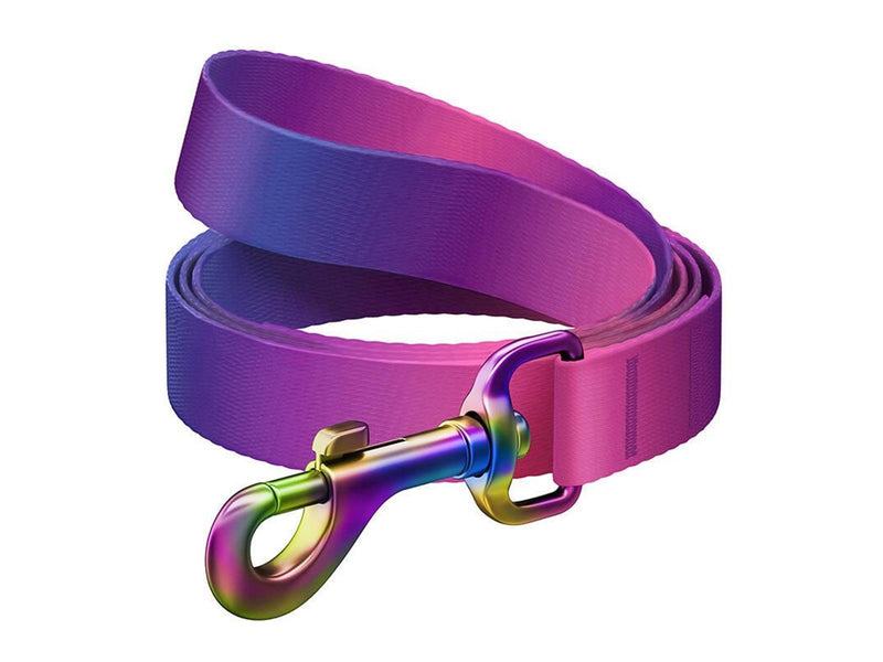 Waudog gradient nylon dog leash length 122cm purple