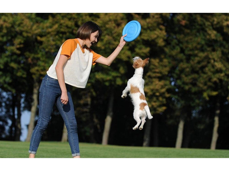 Waudog Frisbee/disc 24 cm blue